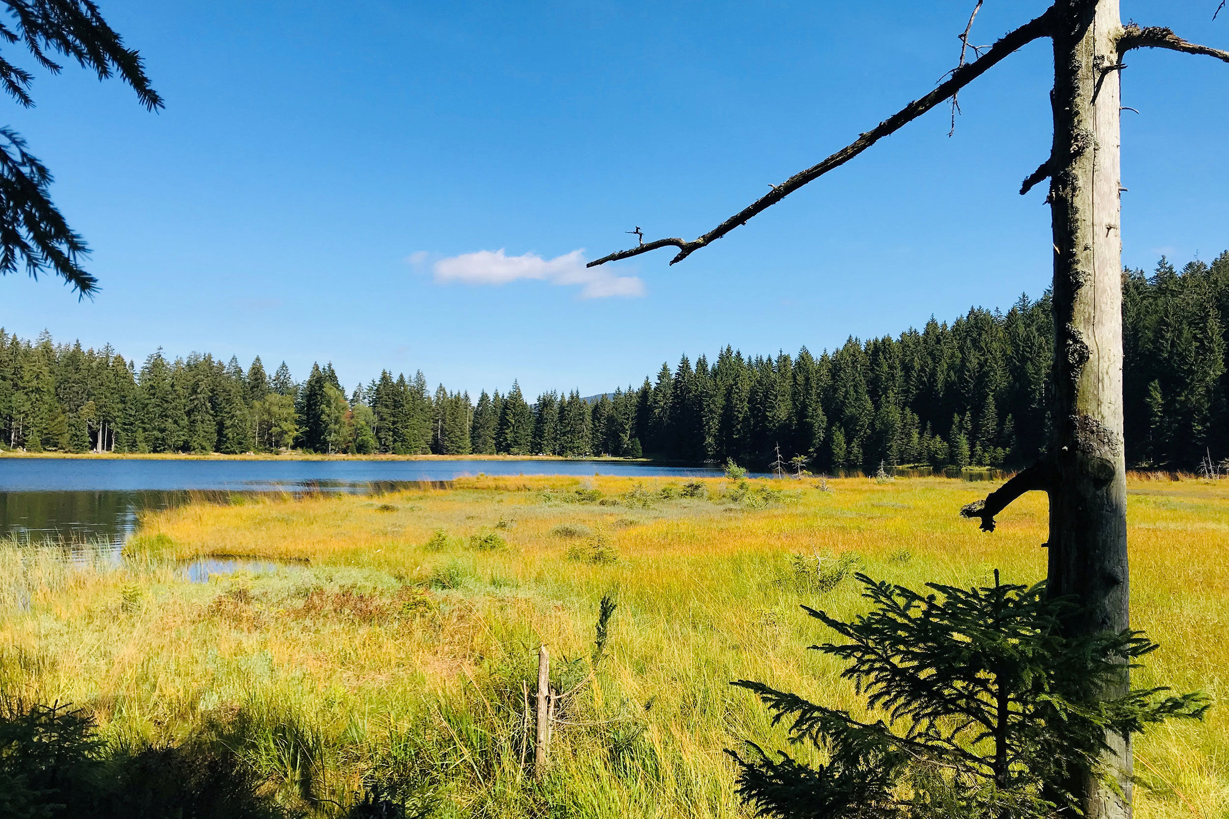 Bodenmais, Arbersee im Bayerischen Wald
